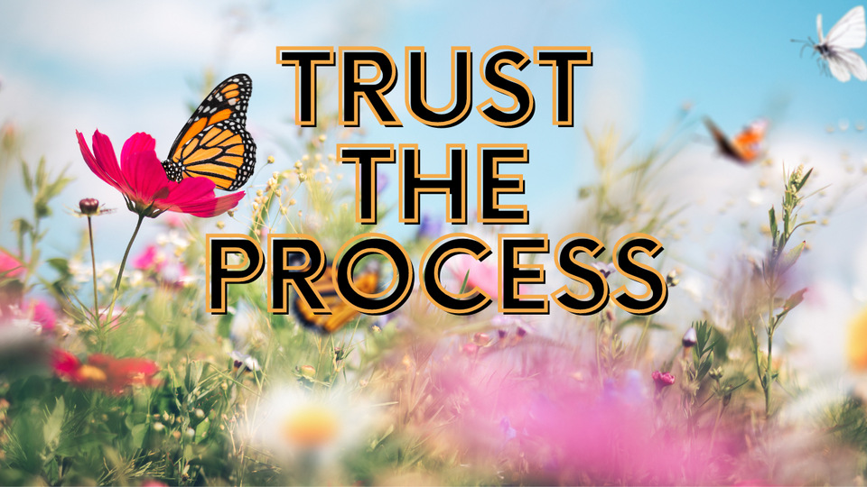 Text that says "trust the process" and a pretty flower background with butterflies.